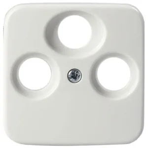 Centrumplatta Populärt val